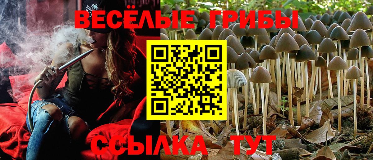 Канабис  Железногорск  Меф МЯУ МЯУ кристаллы  APVP СК кристаллы  ГАШИШ  Вход с VPN 