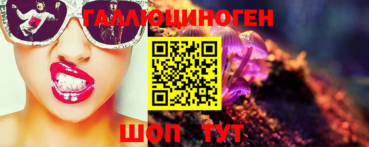 Галлюциногенные грибы Psilocybine cubensis Железногорск